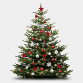 Weihnachtsbaum Deko-Set "rot-weiß"