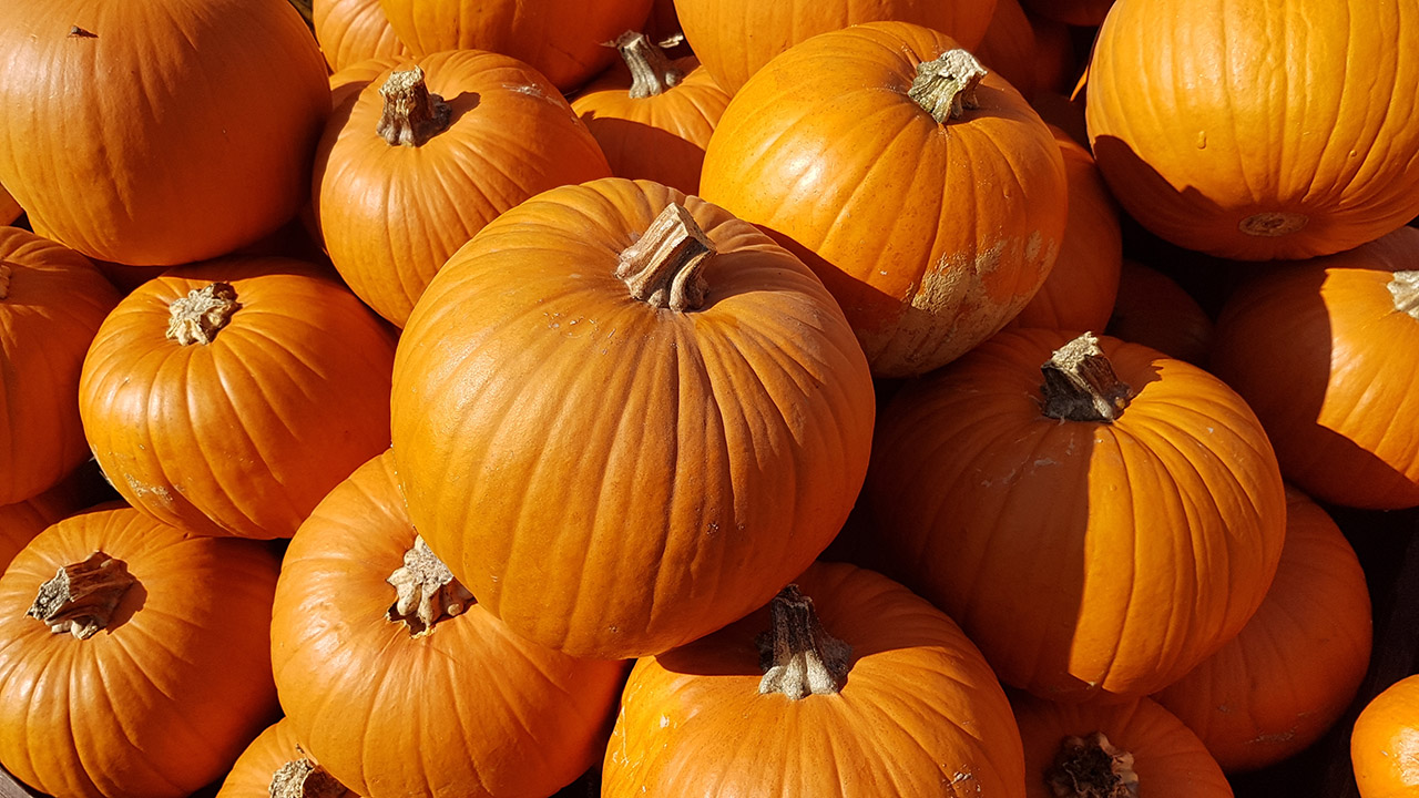 Herbst, die 3. Jahreszeit: Traditionen, Basteln, Dekorieren, Kuscheln