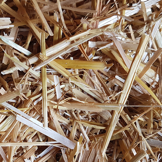 Wissenswertes rund ums Ei Intro Bild Stroh