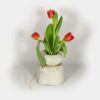 Deko-Objekt Beton-Sack als Vase mit Tulpen