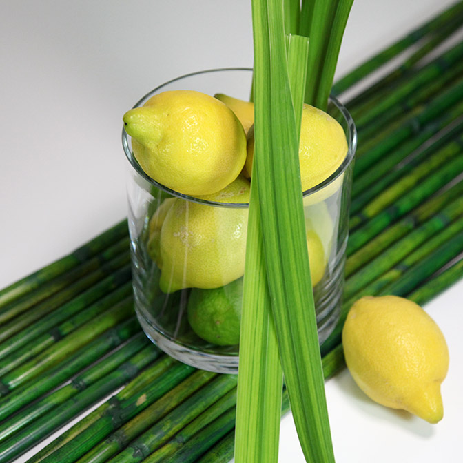 Deko-Vase aus Glas. Dekoriert mit Zitronen, Schilf-Gräsern und grünen Bambus-Stangen.