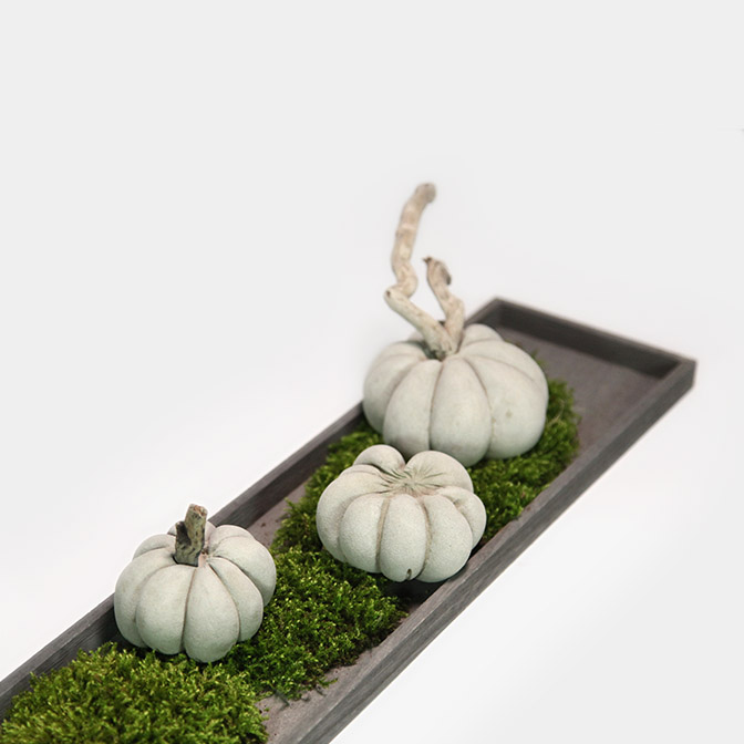 Wunderschönes, schlichtes, graues Holz-Tablett. Deko-Beispiel dekoriert mit handgefertigten Beton-Kürbissen auf Moos.