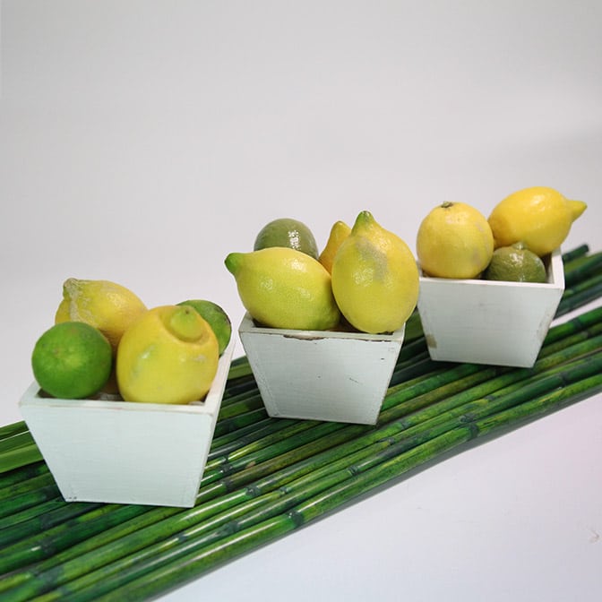 Drei quadratische, weiße Holz-Schalen im shabby chic. Dekoriert mit frischen Zitronen und Limetten. Das ganze wird auf langen, grünen Bambus-Stangen präsentiert