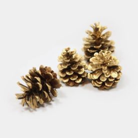 Schritt für Schritt zum perfekten Weihnachtsbaum. 21 goldenen Kiefern-Zapfen