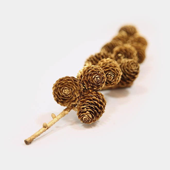 goldene Weihnachtsbaum Zapfen Lärche am Ast