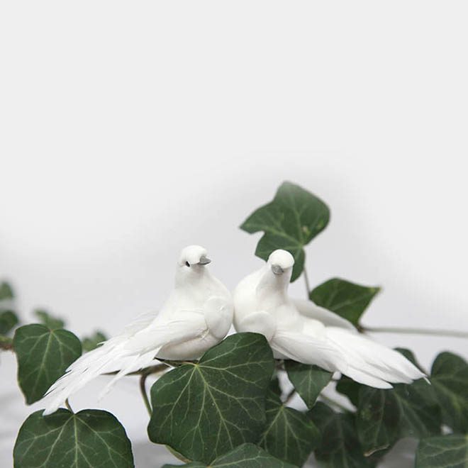 Zwei, weiße Feder-Taube mit Clip