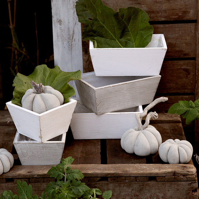 Weiße, rechteckige Holz-Schale mit handgefertigten Beton-Kürbissen