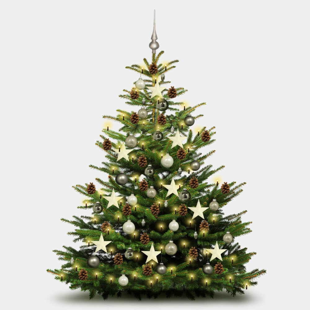 Weihnachtsbaum DekoSet "klassisch rot" (53/78/100teilig) hier bestellen