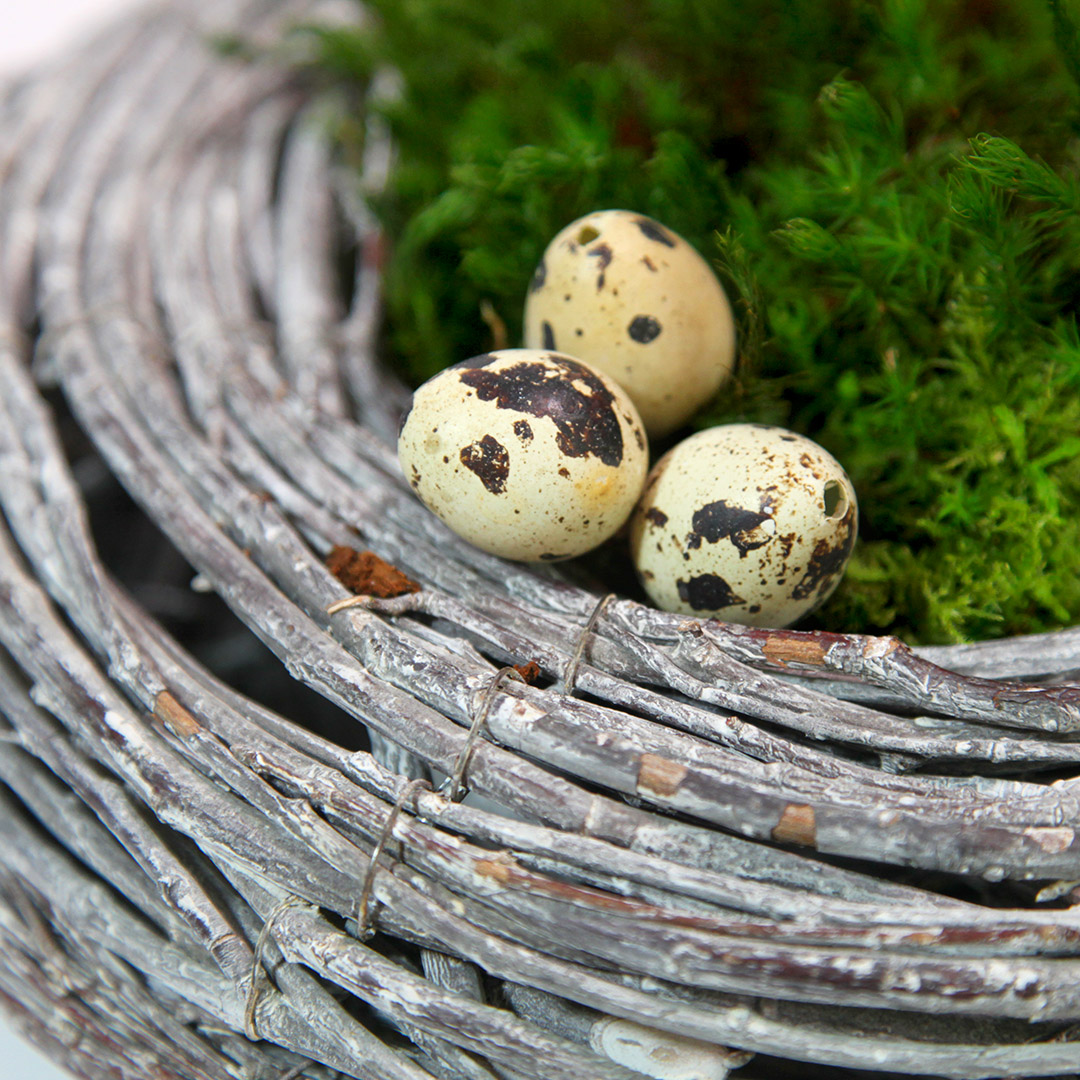 Oster-Deko-Set "Schauinsfeld" mit Nest 4 Gebundener, heller Reben-Holzkranz mit Moos und drei Wachteleiern als Nest für den Osterhasen