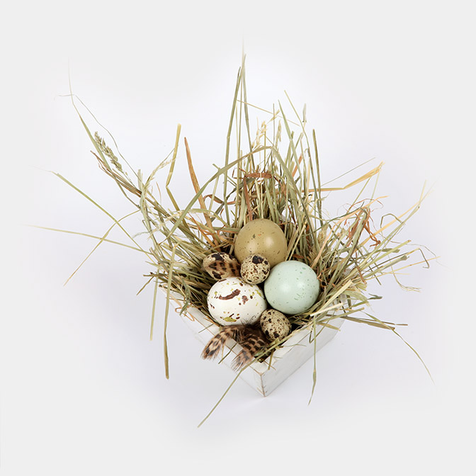 Osternest "Natur pur" 5 Unser Osternest "Natur pur" besteht aus einer Holzschale in weiß im "shabby look" gefüllt mit Heu und drei Ostereiern in natürlichen, zarten Farben,. Das Ganze wird ergänzt durch drei Wachtel-Eier und Federn.