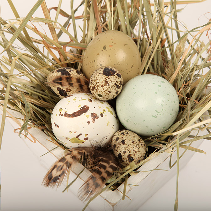 Osternest "Natur pur" 4 Unser Osternest "Natur pur" besteht aus einer Holzschale in weiß im "shabby look" gefüllt mit Heu und drei Ostereiern in natürlichen, zarten Farben,. Das Ganze wird ergänzt durch drei Wachtel-Eier und Federn.