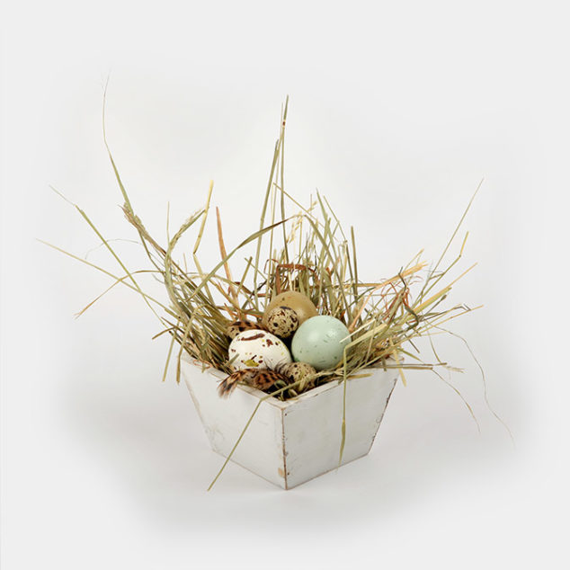 Unser Osternest "Natur pur" besteht aus einer Holzschale in weiß im "shabby look" gefüllt mit Heu und drei Ostereiern in natürlichen, zarten Farben,. Das Ganze wird ergänzt durch drei Wachtel-Eier und Federn.