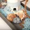 Deko-Tablett mit Leuchtturm "Eine Prise Meer" 8 Ausschnitt aus unserem rechteckigen grauen Holztablett dekoriert mit einem Leuchtturm, Muscheln, einem Seil und Deko-Steinen, Alles in weiß, beige und hellblau gehalten.