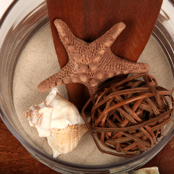 Unser Deko-Vase "Afrika-Safari" besteht aus einem Glas-Zylinder befüllt mit feinstem Quarzsand, welcher sich mit einem Cocos-Schale-Palmenblatt, einem getöpferten Seestern, Muscheln und einer gebundenen Deko-Kugel aus Ästen schmückt. Hier ist nur ein Ausschnitt zu sehen.